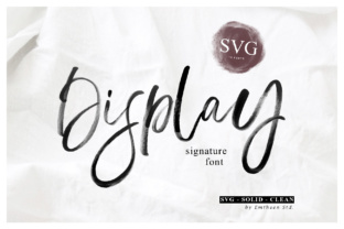 Display Signature: A Brush Script Font for Authentic Designs